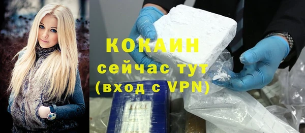 дживик Володарск